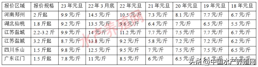 养殖什么鱼好养又赚钱呢图片，养殖什么鱼比较赚钱
