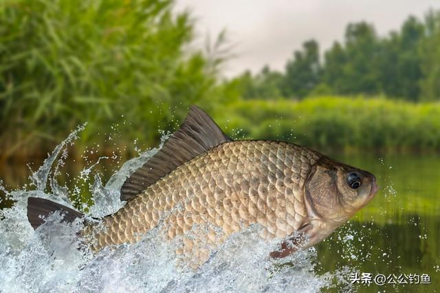 走水严重钓鱼如何防止走漂视频，走水严重钓鱼如何防止走漂视频教程