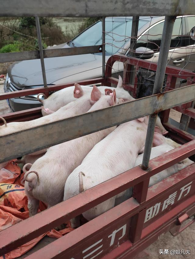 投资少赚钱快的行业有哪些，投资少赚钱快的行业有哪些呢