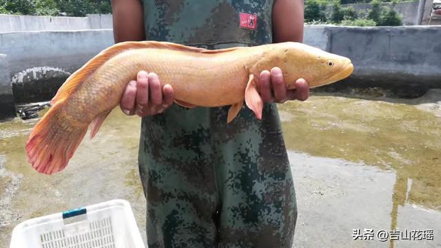 水处理斜管价格,测斜管价格多少