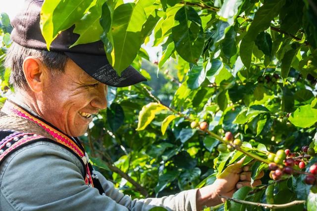 寻求养殖合作伙伴养殖合作，寻求合作养殖开发