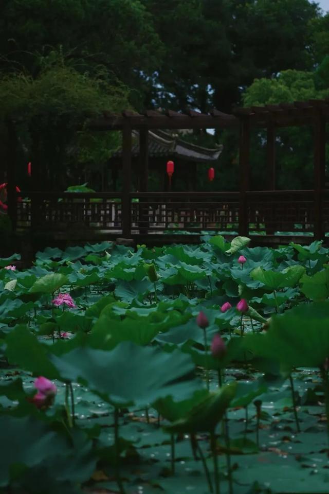 人的缺点有哪些200条，人的缺点有哪些200条图片