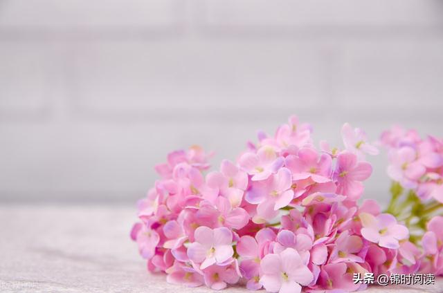 女人慕强是什么意思，为什么说女孩慕强