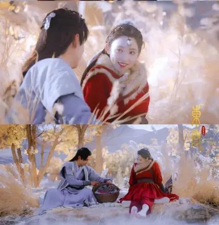 闪闪的星星小说，一闪一闪亮晶晶作者简介