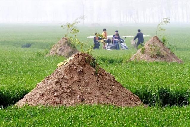 四人不回头是什么意思，四人不回头是什么意思