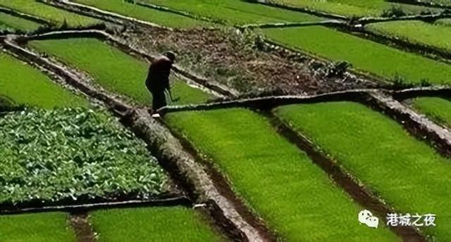 家庭联产承包责任制是哪一年正式在全国得到认可，家庭联产承包责任制是哪一年结束的