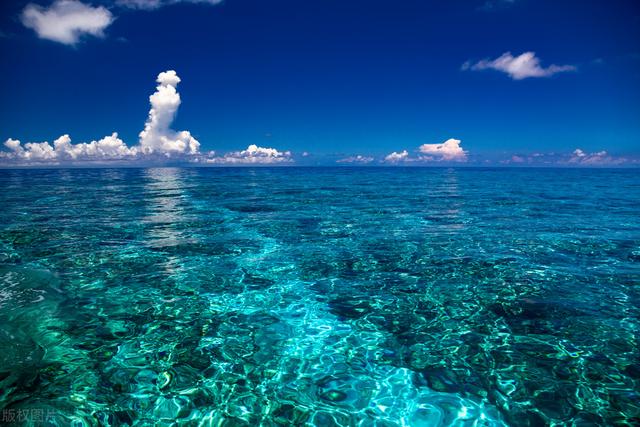 成功创业者的培育需要有哪些，成功创业者的培育需要有哪些条件