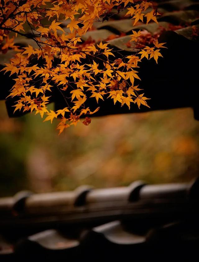 现在开什么店生意好投资小店面小，现在开什么店生意好投资小店面小点