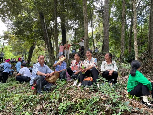 张也个人资料简介简历，张也个人资料简介简历结婚吗