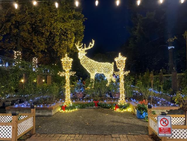 迎新黑板报设计图案大全,迎新黑板报设计图案大全集