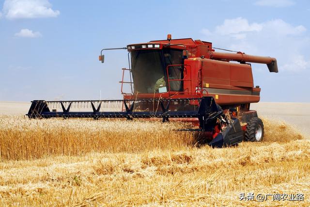 谷王小麦收割机怎么样,2021款谷王小麦收割机价格