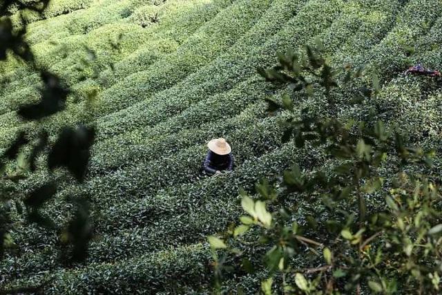 中国申遗的第一个项目是什么昆曲,中国申遗的第一个项目是什么昆曲古筝