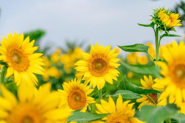 本质上男人和女人是无法沟通的，你认为是真的吗？