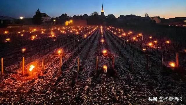 查酒价格的软件扫一扫,红酒回收价格查询