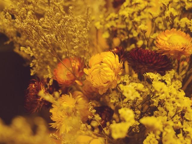 Ted演讲_1如何解决焦虑