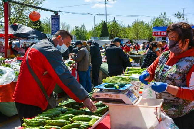 大量蔬菜怎样找销售渠道,生鲜配送管理系统软件免费