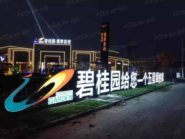 碧桂园集团董事长,碧桂园集团董事长杨惠妍