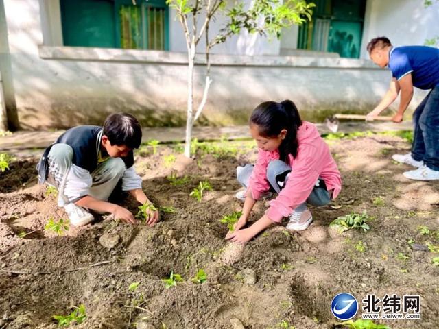 劳动教育黑板报图片高中,劳动教育黑板报图片简单