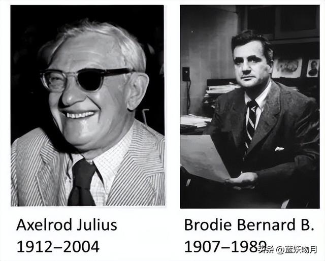 对甲基苯酚结构式,对甲基苯酚结构式怎么写