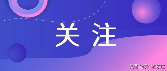 金美人蜜瓜,金美人蜜瓜的功效与作用