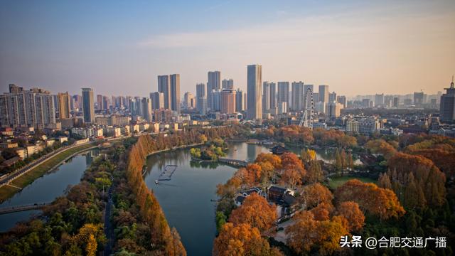 小杨哥在哪直播带货平台,小杨哥在哪直播带货平台赚钱