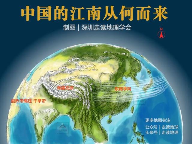 攀枝花图片花朵,攀枝花树图片大全