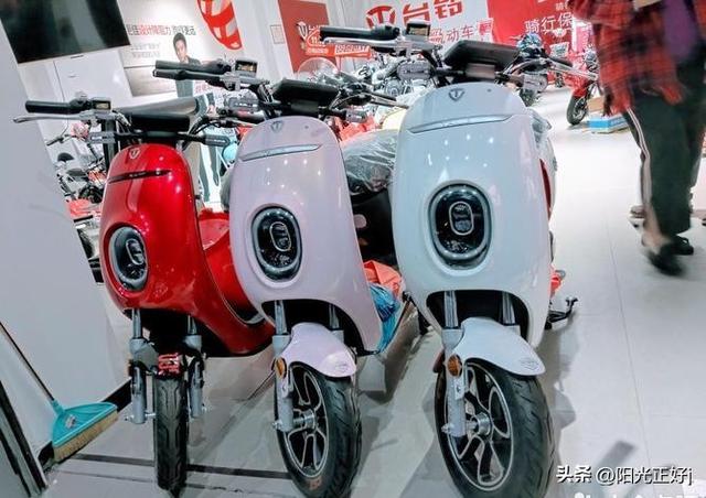 十大电动车排名前十名,爱玛电动车所有车型图片