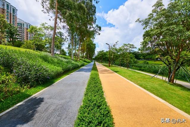 计步器哪个app最好,计步器的使用方法