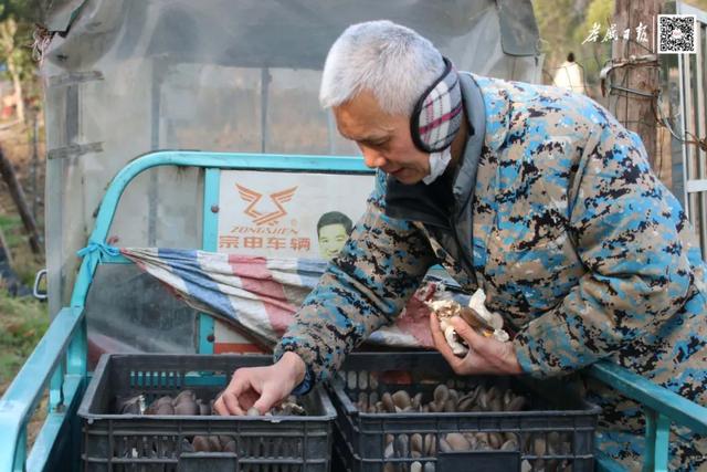 卓明谷s1,卓明谷s1_上海