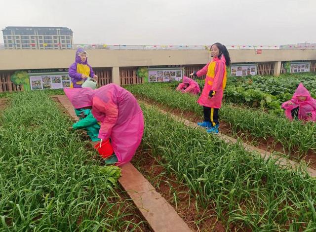 书籍义卖是什么意思,慈善义卖是什么意思