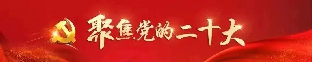 国内管理咨询公司10强,企业管理咨询公司哪家好