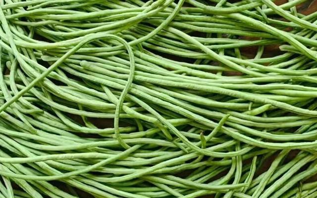 蔬菜有哪些种类名字,蔬菜有哪些_菜名