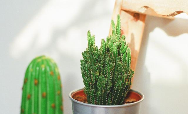 情丝绕是什么意思,情丝缠绕什么意思