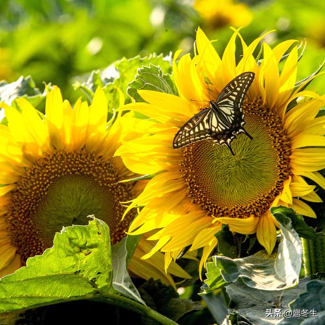 住家护理老人每月多少钱,老人陪护多少钱一个月