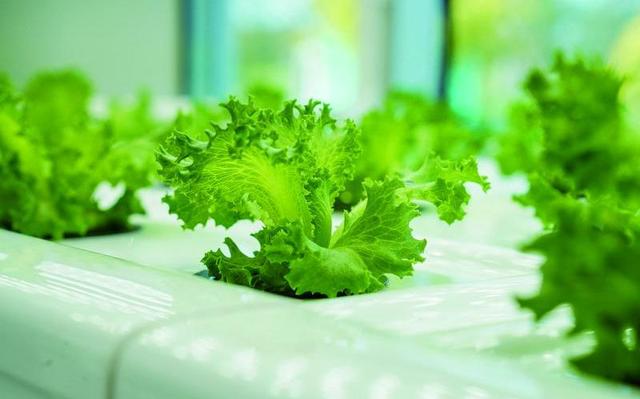 德州亚太通风设备,德州亚太空调设备有限公司