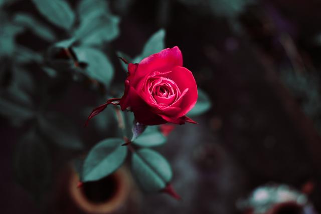 红颜知己歌词完整版打印,红颜知己歌词全部