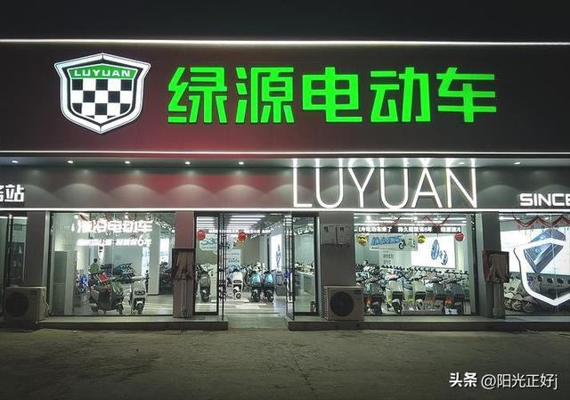 十大电动车排名前十名,爱玛电动车所有车型图片