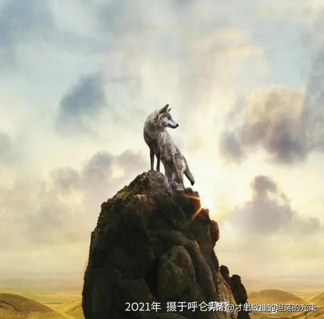 与狼共舞男装加盟政策,与狼共舞品牌店