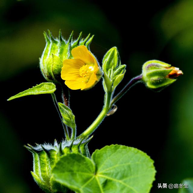 住家护理老人每月多少钱,老人陪护多少钱一个月