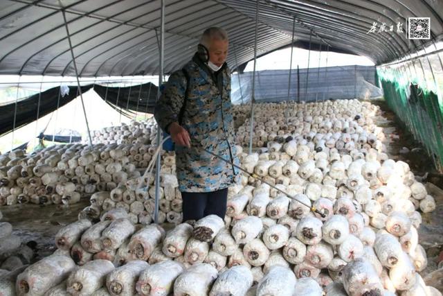 卓明谷s1,卓明谷s1_上海