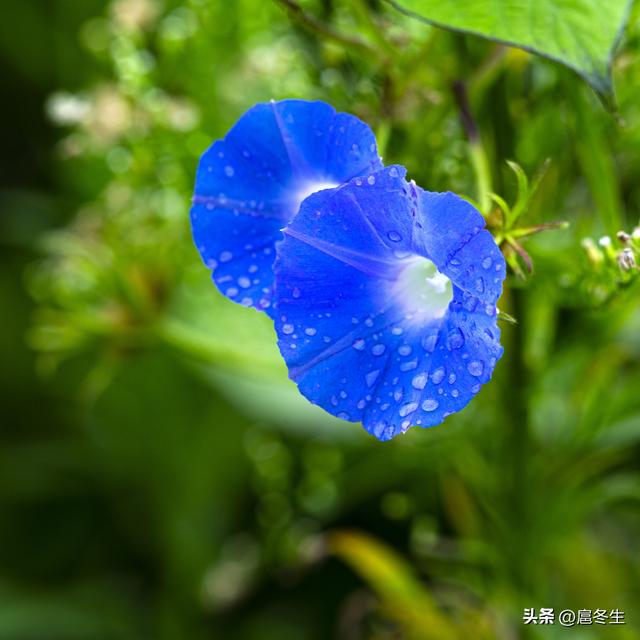 住家护理老人每月多少钱,老人陪护多少钱一个月