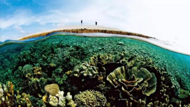 南海岛礁实际控制地图2021,南海岛礁实际控制地图2022