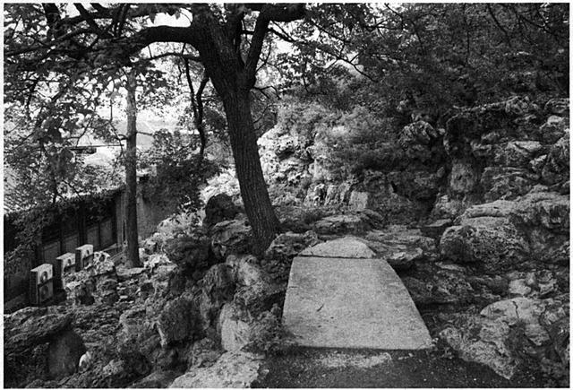 包天下餐饮有限公司老板,包天下餐饮有限公司怎么样