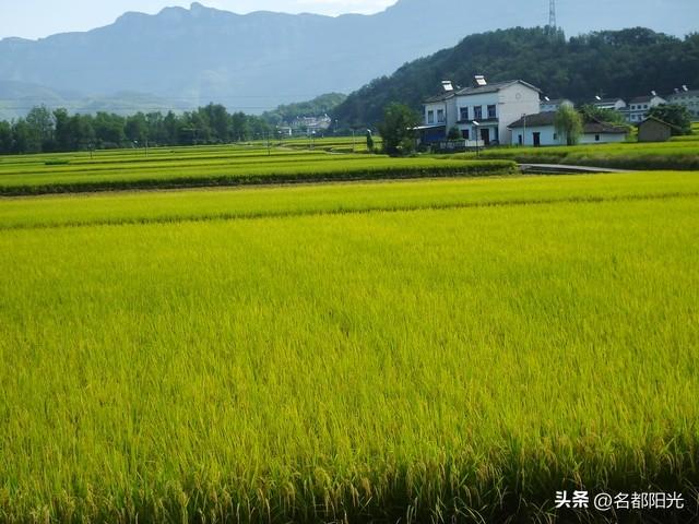 家庭联产承包责任制是哪一年,家庭联产承包责任制是哪一年开始实行的