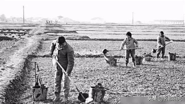 家庭联产承包责任制是哪一年,家庭联产承包责任制是哪一年开始实行的