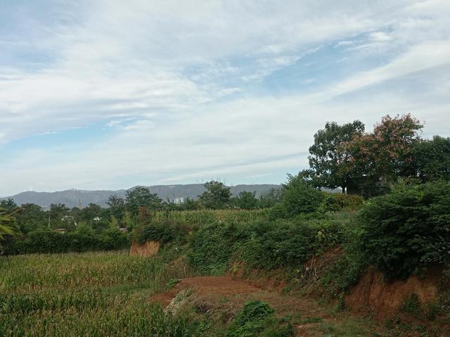 怎样才能发财白手起家,怎样才能发财白手起家呢