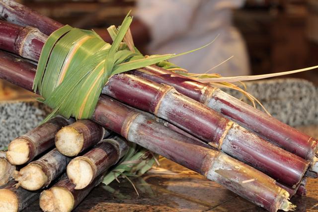 00种水果图片大全,100种水果图片大全名称"