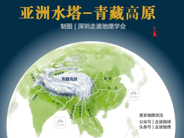 攀枝花图片花朵,攀枝花树图片大全