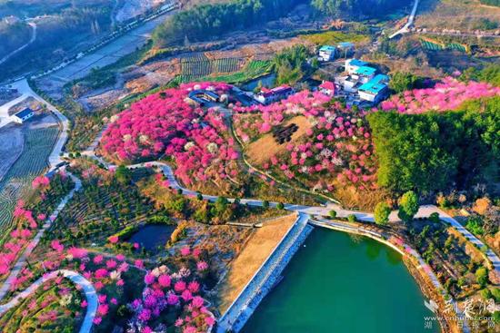 重庆外婆桥加盟电话,重庆外婆桥加盟电话号码