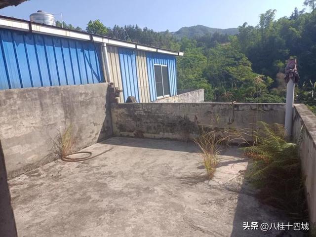 阿里拍卖有一元成交的吗,阿里拍卖真的可以一元购吗